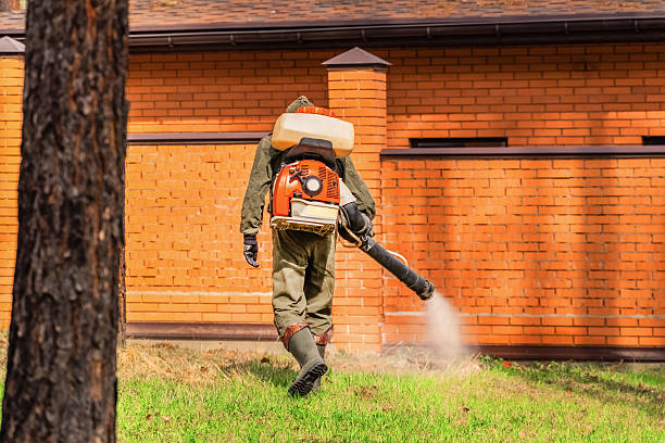 Trusted Ant Control service in Mount Vernon, WA - Nex Pest Control